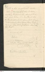 Seite 7, Tagebuch "Ossarn 1927" (NHMW-PRAE-BBB-22)